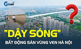 Dịch vụ thiết kế Website - Trai Song Lam