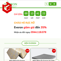 Dịch vụ thiết kế Website - Trai Song Lam
